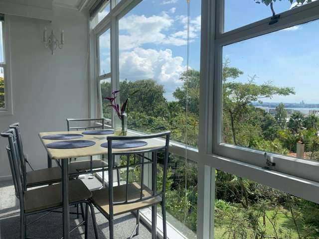 6/12 Burrows Avenue Parnell_2