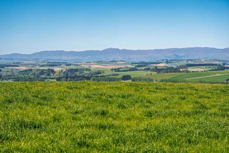 285 Greenvale Road Geraldine_7