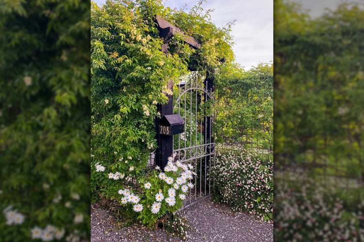 20b Wood Street Greytown_1