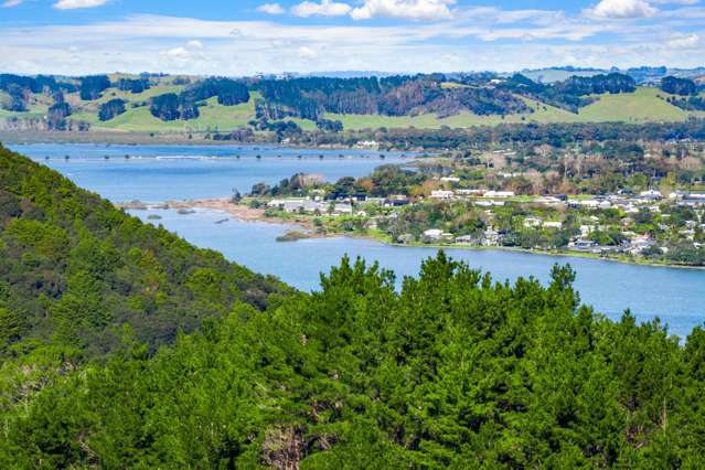 Anchorpoint Forestry - 115Ha