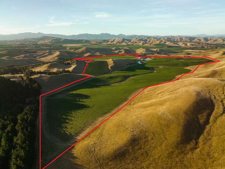 217 Caseys Road Seddon_0