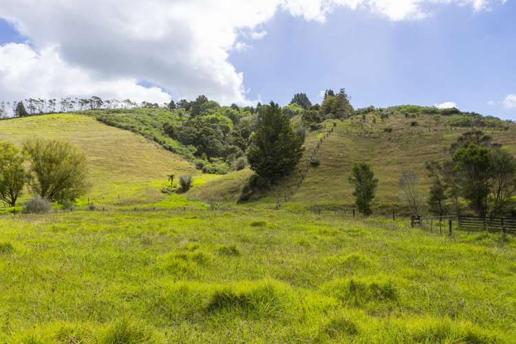 558A Backriver Road Mangonui_6