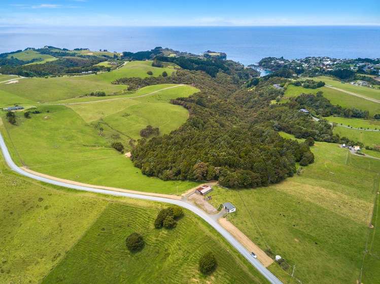 26 Cape Rodney Road Leigh_8