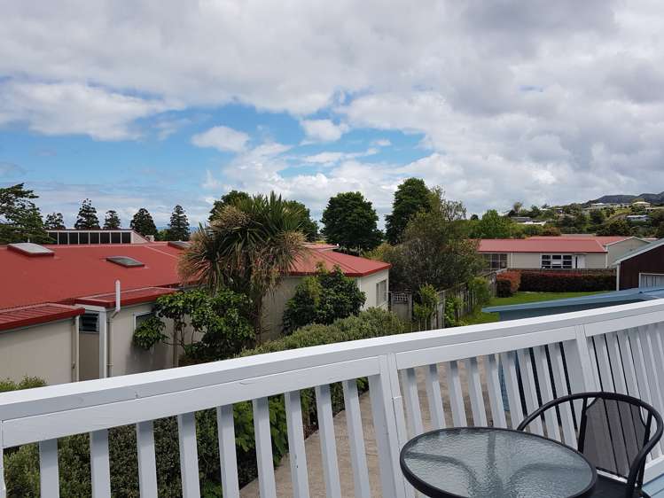 104b Lowe Avenue Thames_2