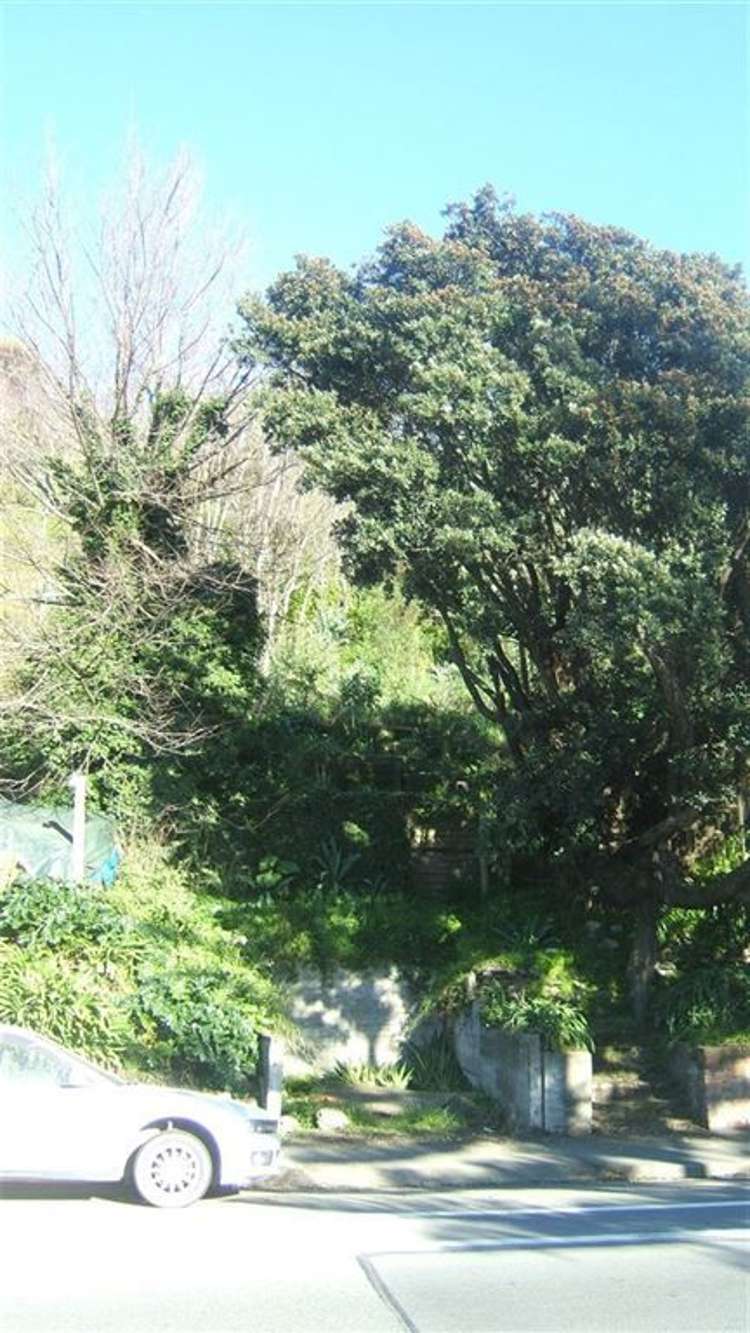 229 Haven Road Stepneyville_2