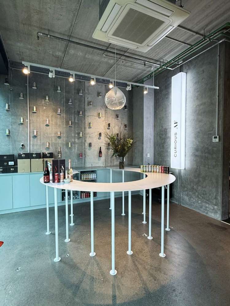 5 Crummer Road Grey Lynn_4