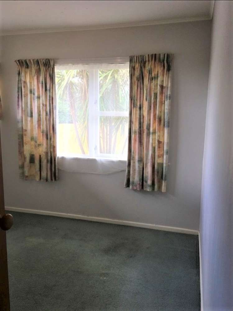16 Taupo Street Green Bay_9