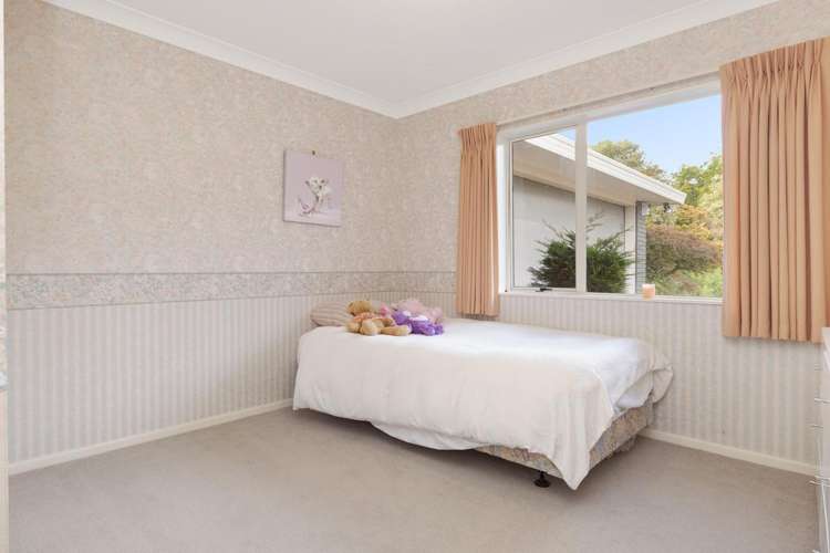 389 Old Highway Whakamarama_15