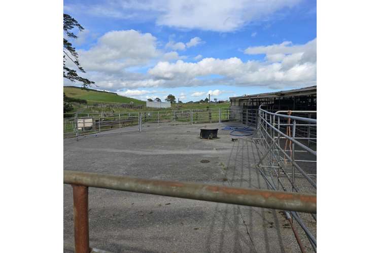 146 Victoria Road Stratford_9