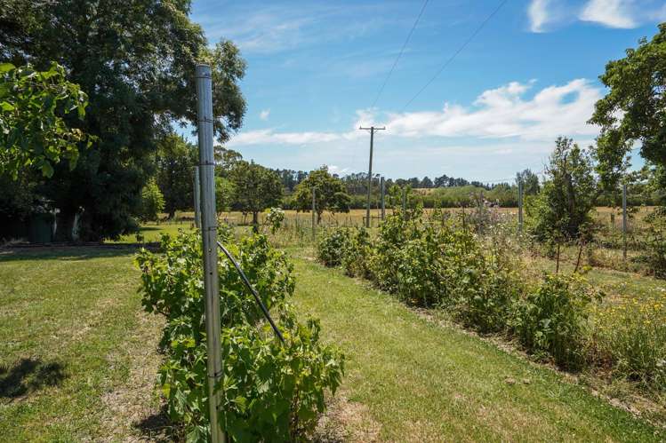 333 Munro Road Cheviot_30