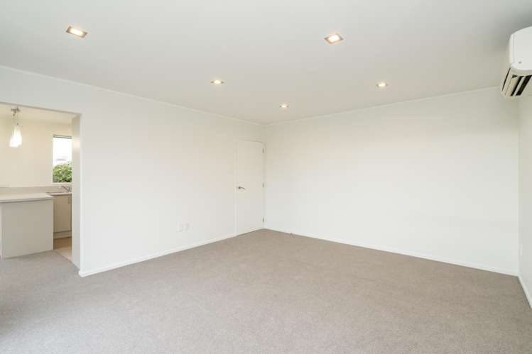 59 Nelson Street Georgetown_12
