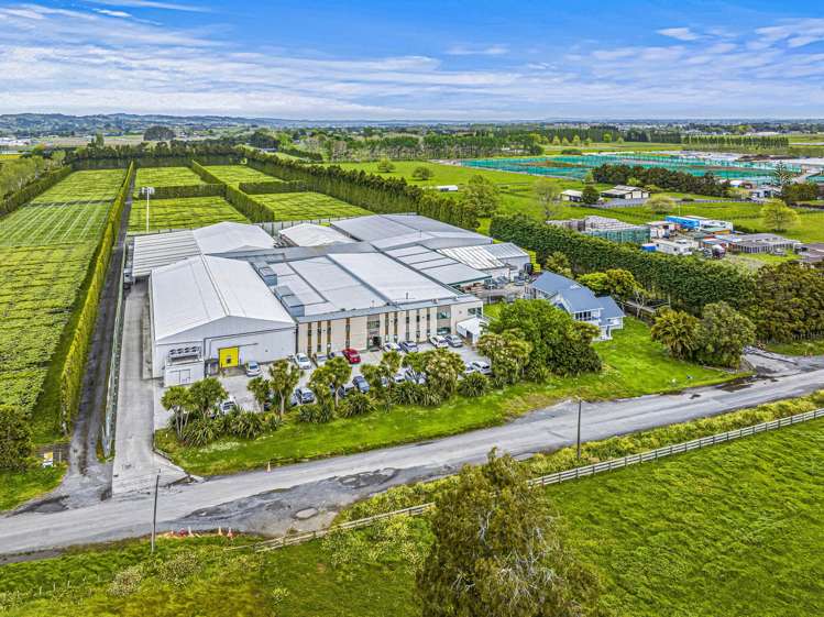 149 Phillip Road Takanini_1