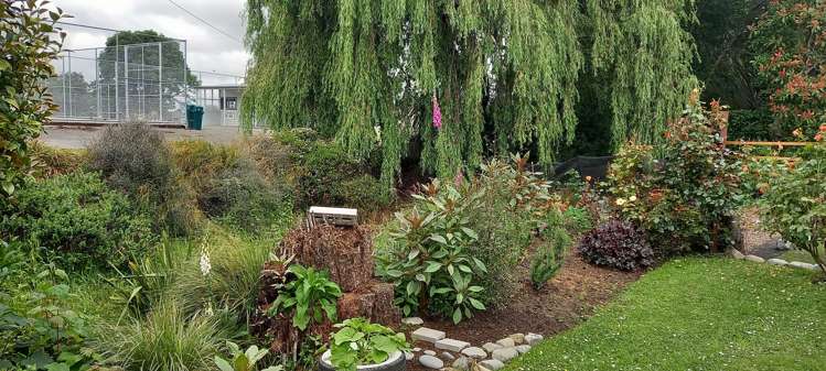 1/19 Wright Street Geraldine_11