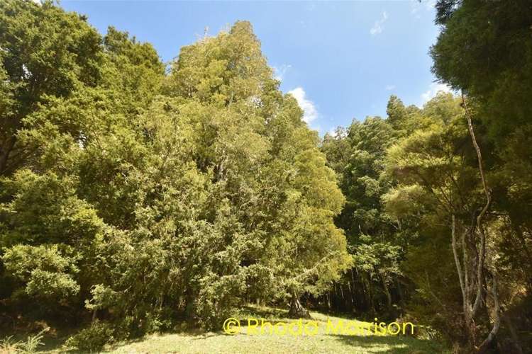 280 Central Road Mareretu_57