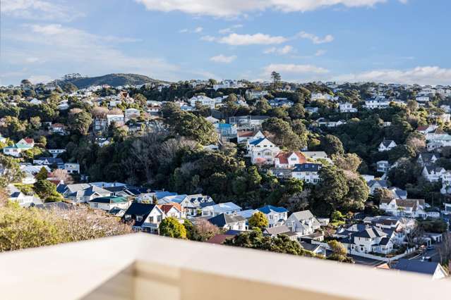 10 Upland Road Kelburn_1