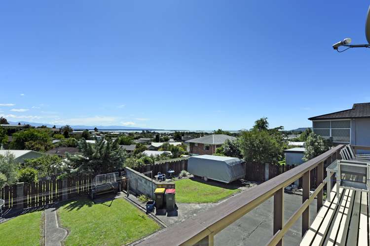 48 Marlborough Crescent Richmond_2