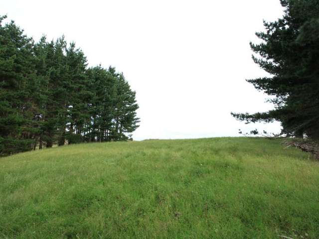 4349 Highway Pepepe_3