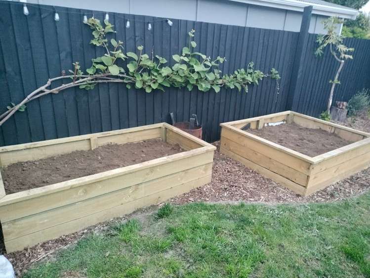 26 Daniels Road Redwood_10