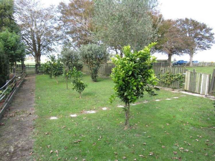 60 Cameron Road Morrinsville_2