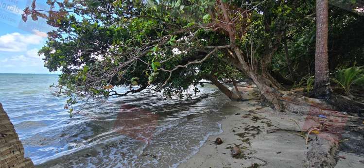 Address withheld Savusavu_10