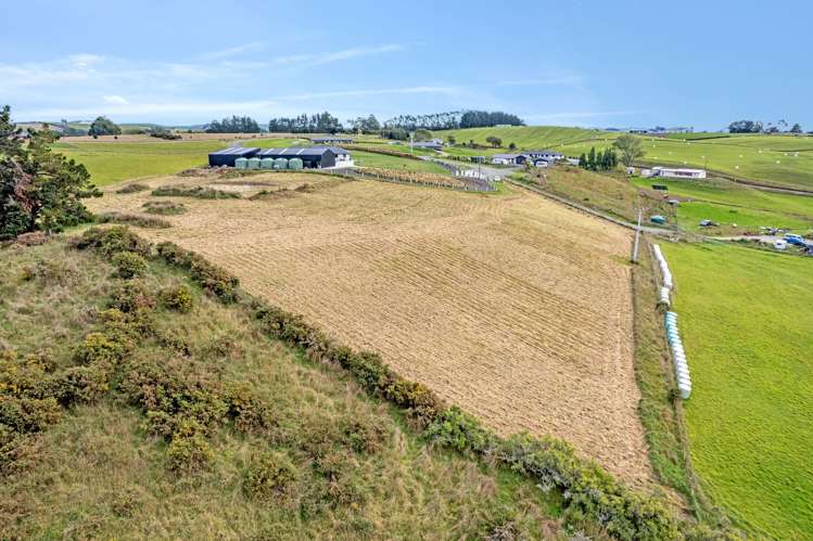 Pukeko Lane Weston_10