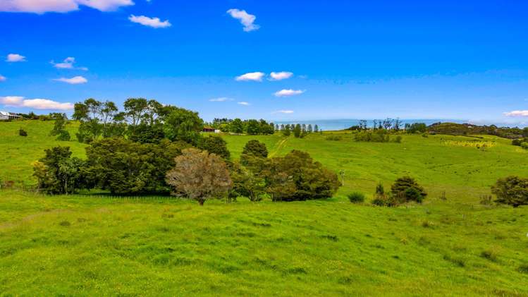 38 Rangiora Road Kaiwaka_25