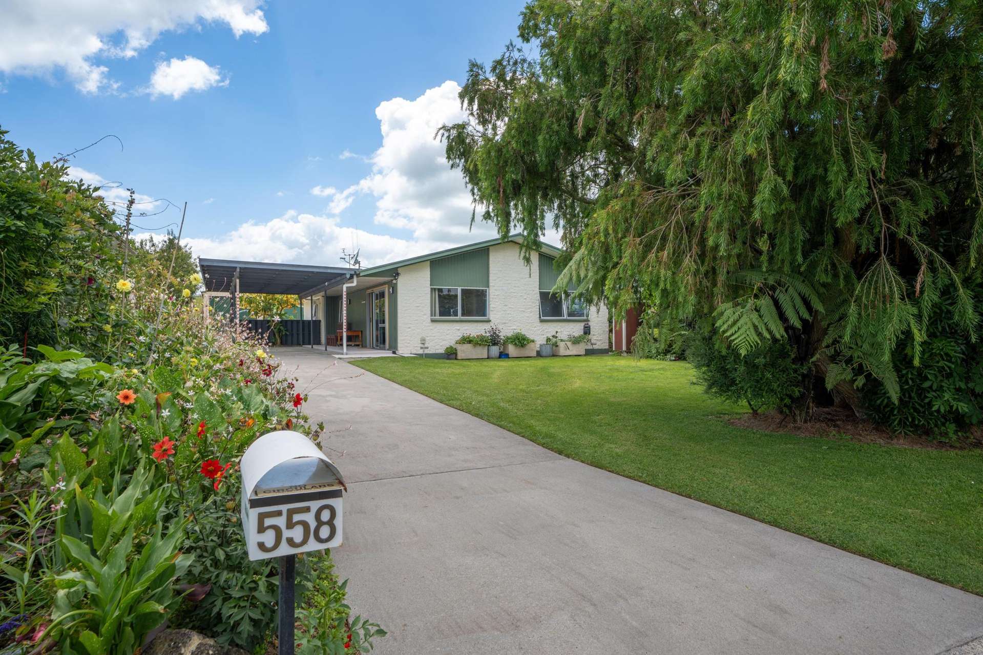 558 Picquet Hill Road Te Awamutu_0