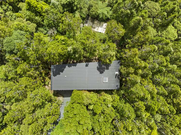13 Te Aute Ridge Road Waitakere_34
