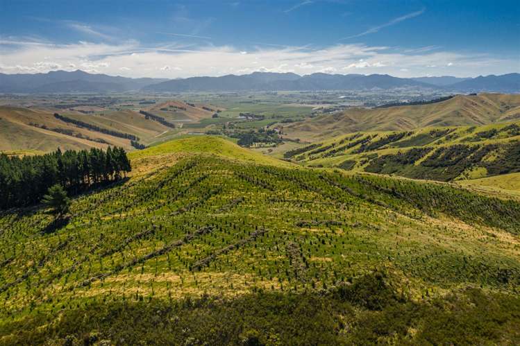 793 Taylor Pass Road Taylor Pass_13