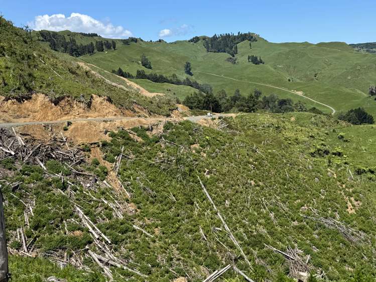 Lot 4 Brown Road Kawhia_24