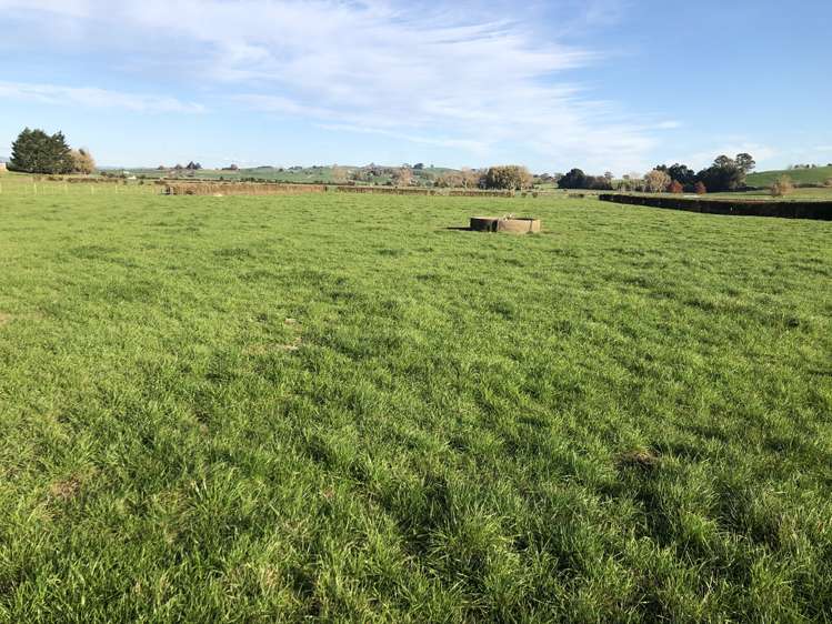 659 Kakepuku Road Te Awamutu_5