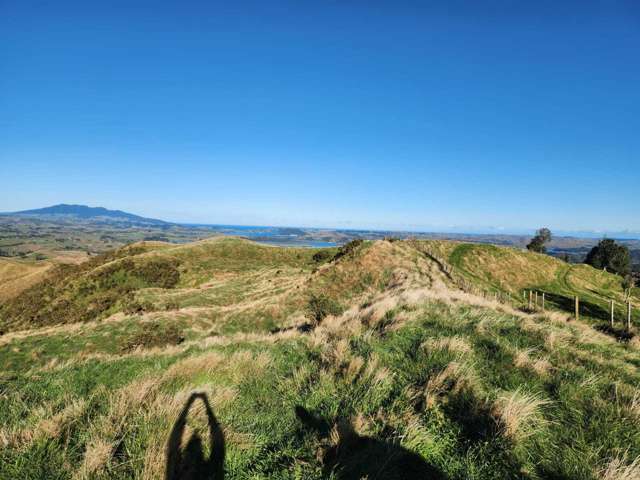 319 Ohautira Road Raglan_2