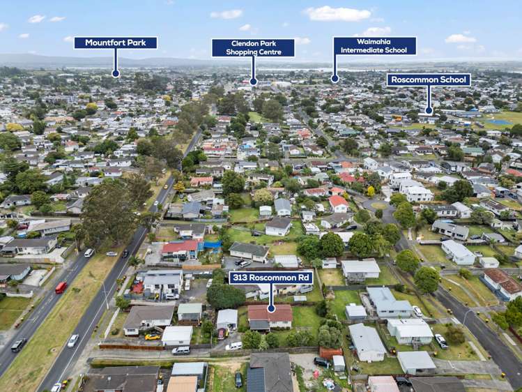 313 Roscommon Road Clendon Park_11