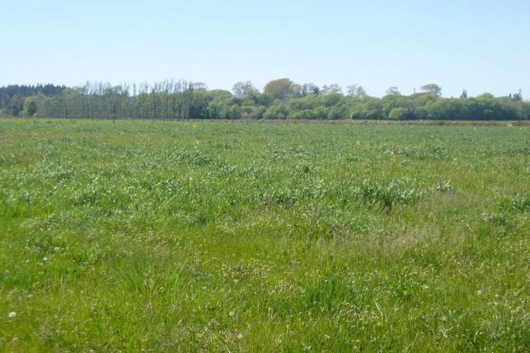 1432 Main North Road Waikuku_1