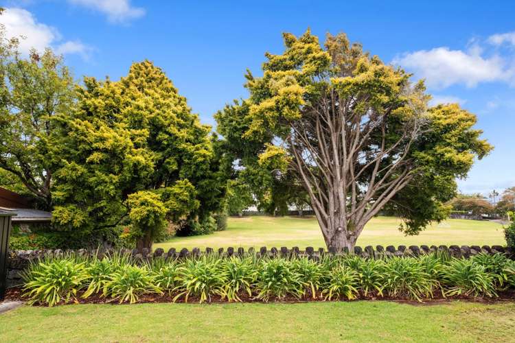 84 Marsden Avenue Mt Eden_10