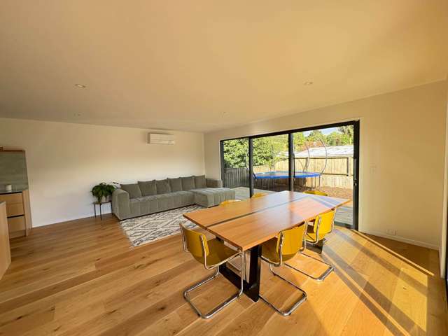 16 Eric Wakelin Lane Whau Valley_4