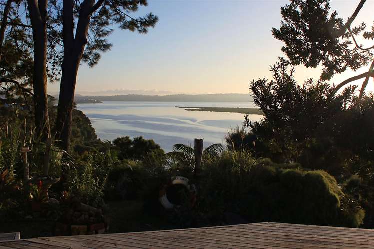 215 West Harbour Drive West Harbour_5