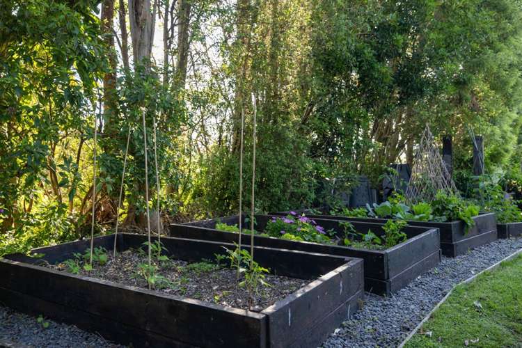 24A Banks Drive Aongatete_19