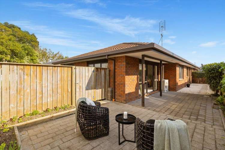 17A Selwyn Street Tauranga_13