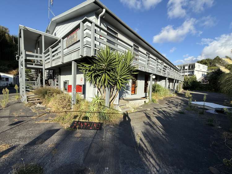 61-63 Carrington Street Lower Vogeltown_2