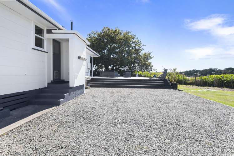 22 Ward Street Bulls_19