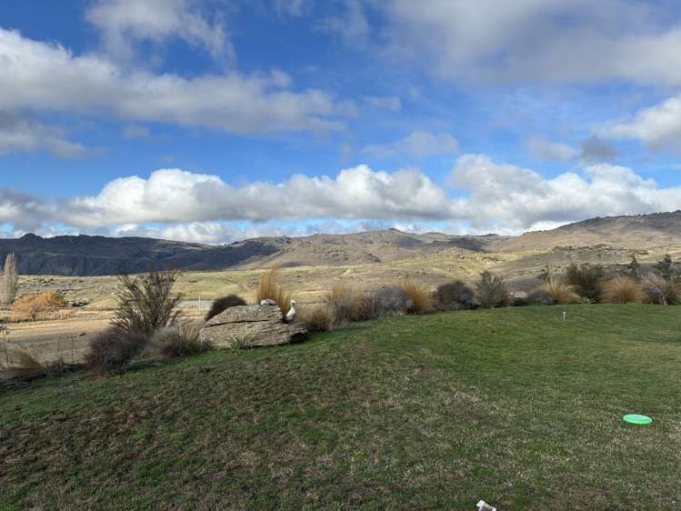 410B Alexandra-fruitlands Conroys Gully_1