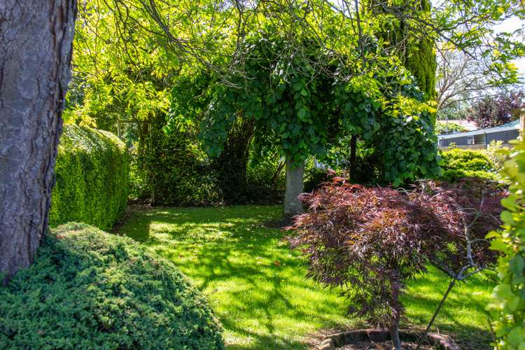 8 Iorns Street Masterton_11