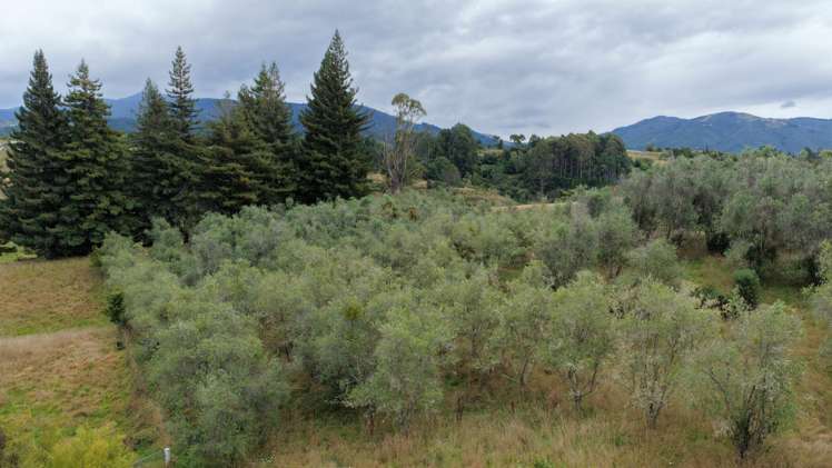 219 Hursthouse Street Lower Moutere_27