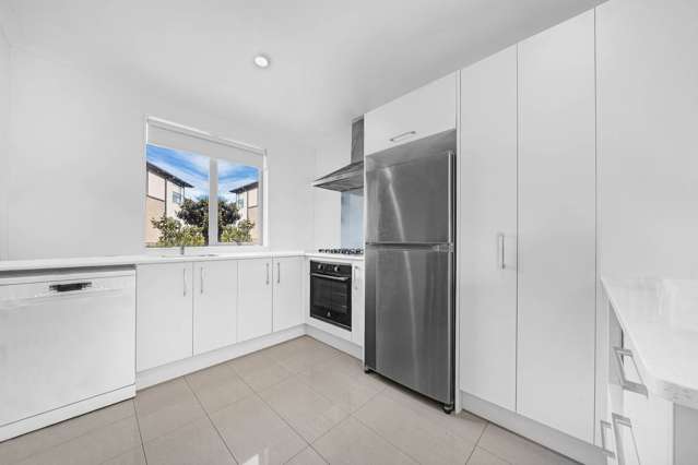 20 Lane Cameron Place Flat Bush_2