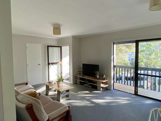 8 Springtime Crescent Stanmore Bay_1