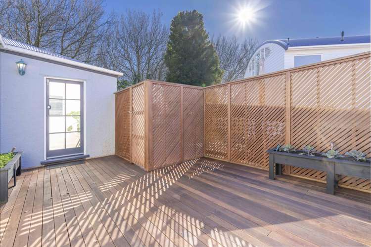 43 Old Mill Road Grey Lynn_11