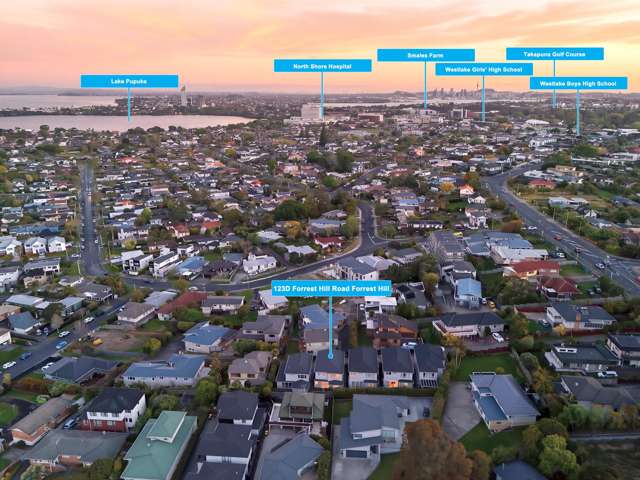 123D Forrest Hill Road Forrest Hill_4