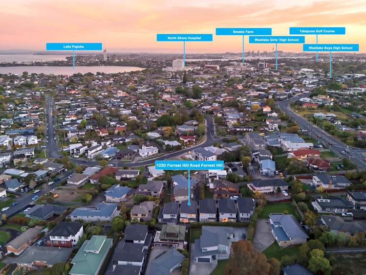 123D Forrest Hill Road_4