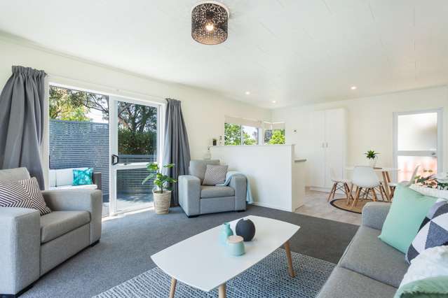 3b Carysfort Street Mount Maunganui_1